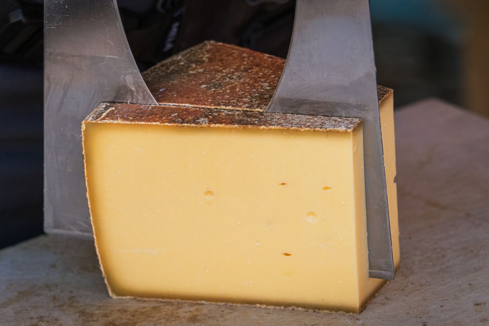 Swiss Cheese