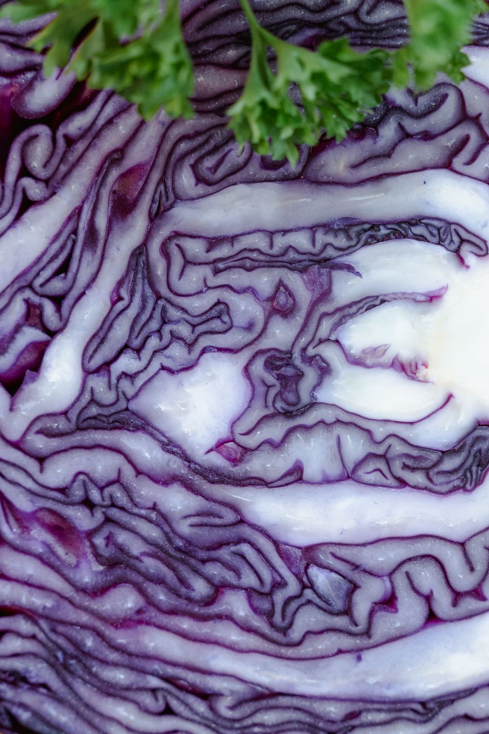 Red Cabbage Bavarian Style