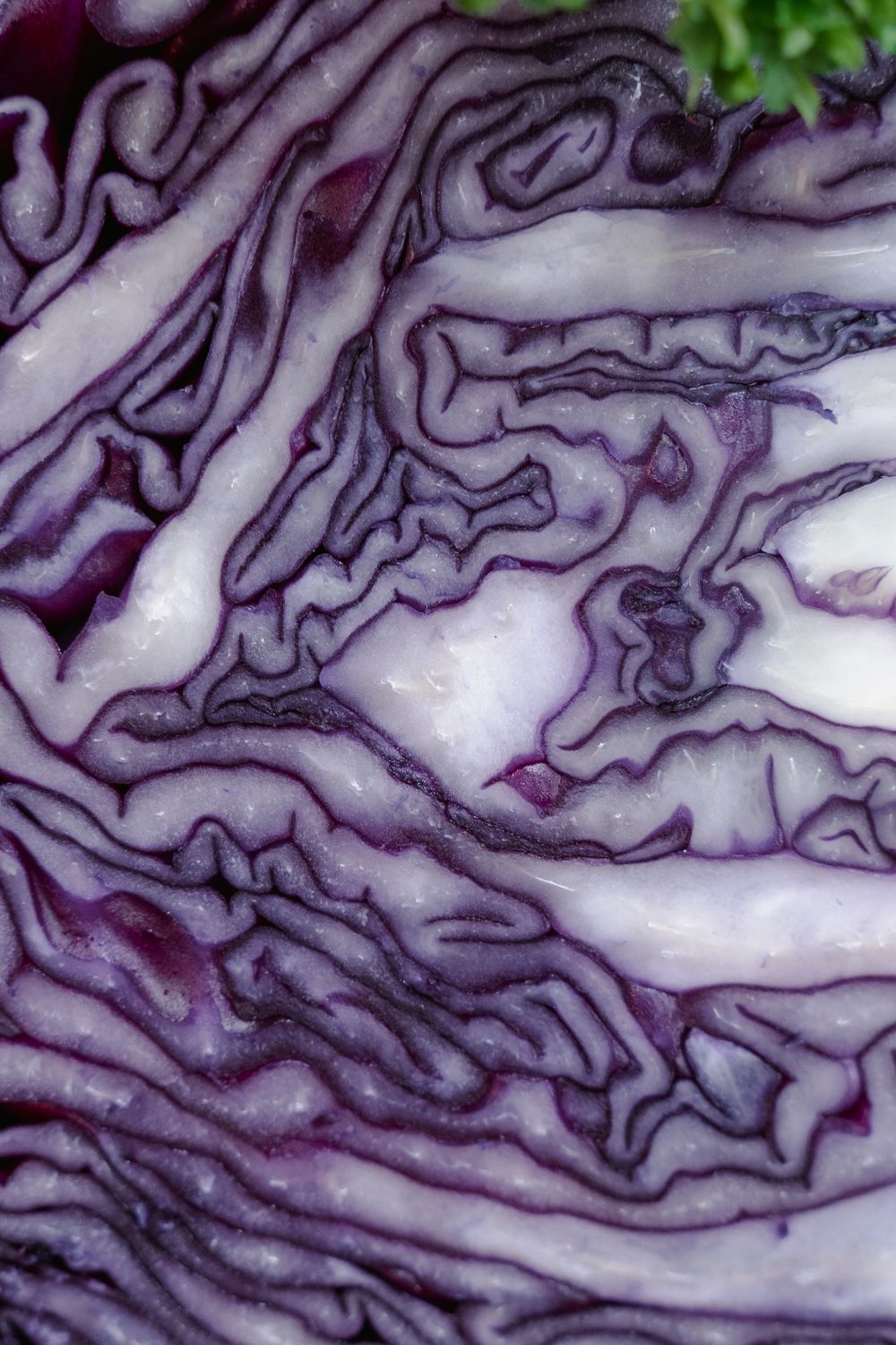 German Red Cabbage — Plain